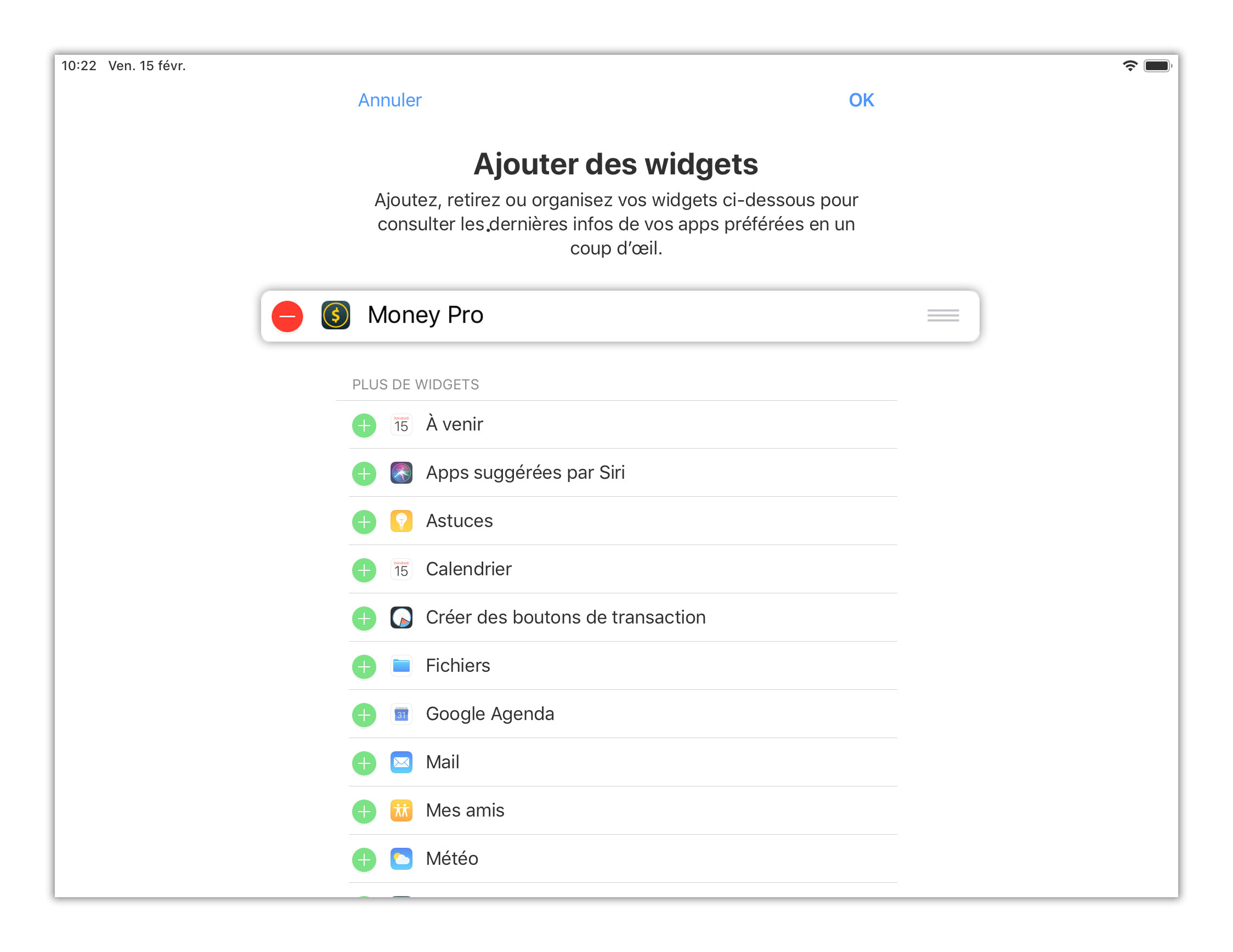 Money Tracker - Widget Aujourd'hui - iPad