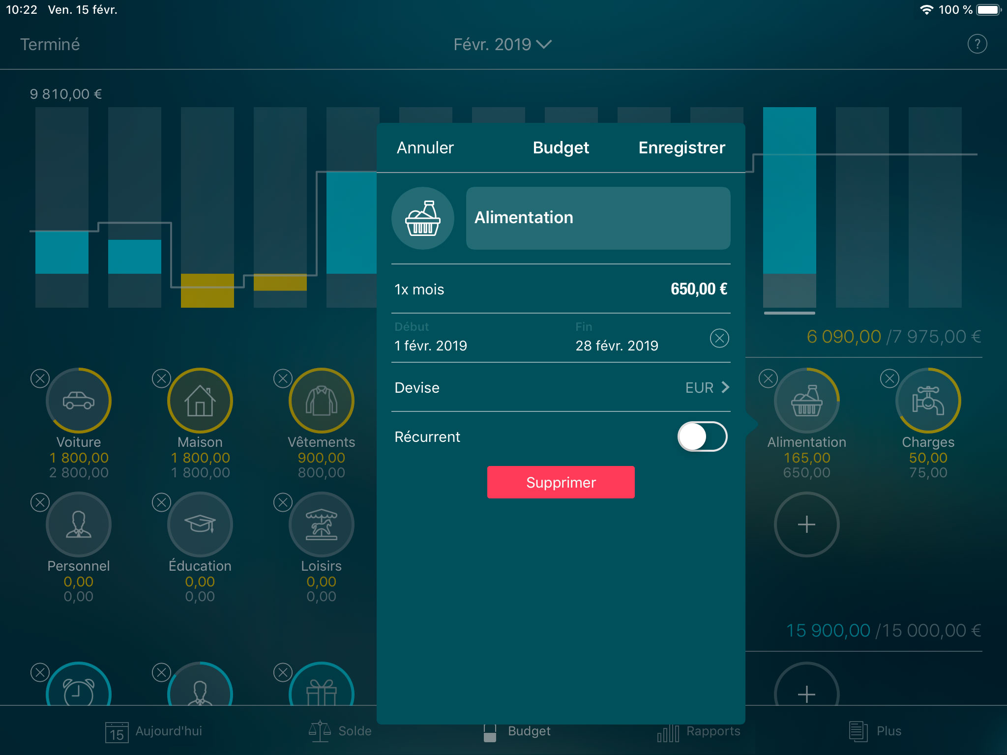 Money Tracker - Configurer un budget - iPad