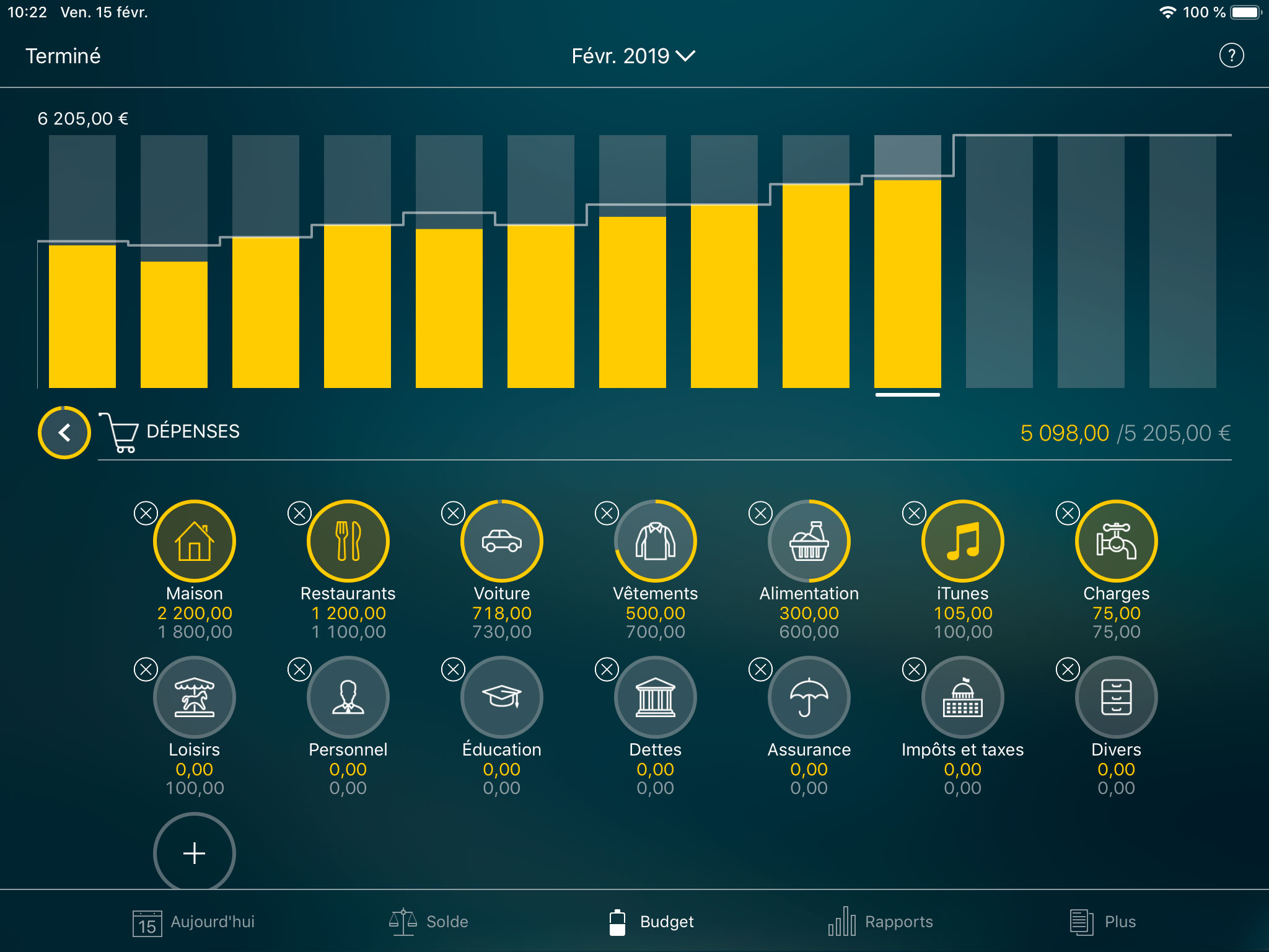 Money Tracker - Configurer un budget - iPad