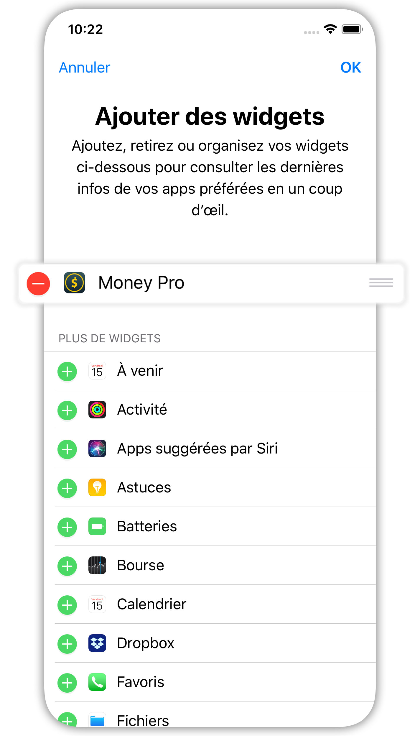 Money Tracker - Widget Aujourd'hui - iPhone