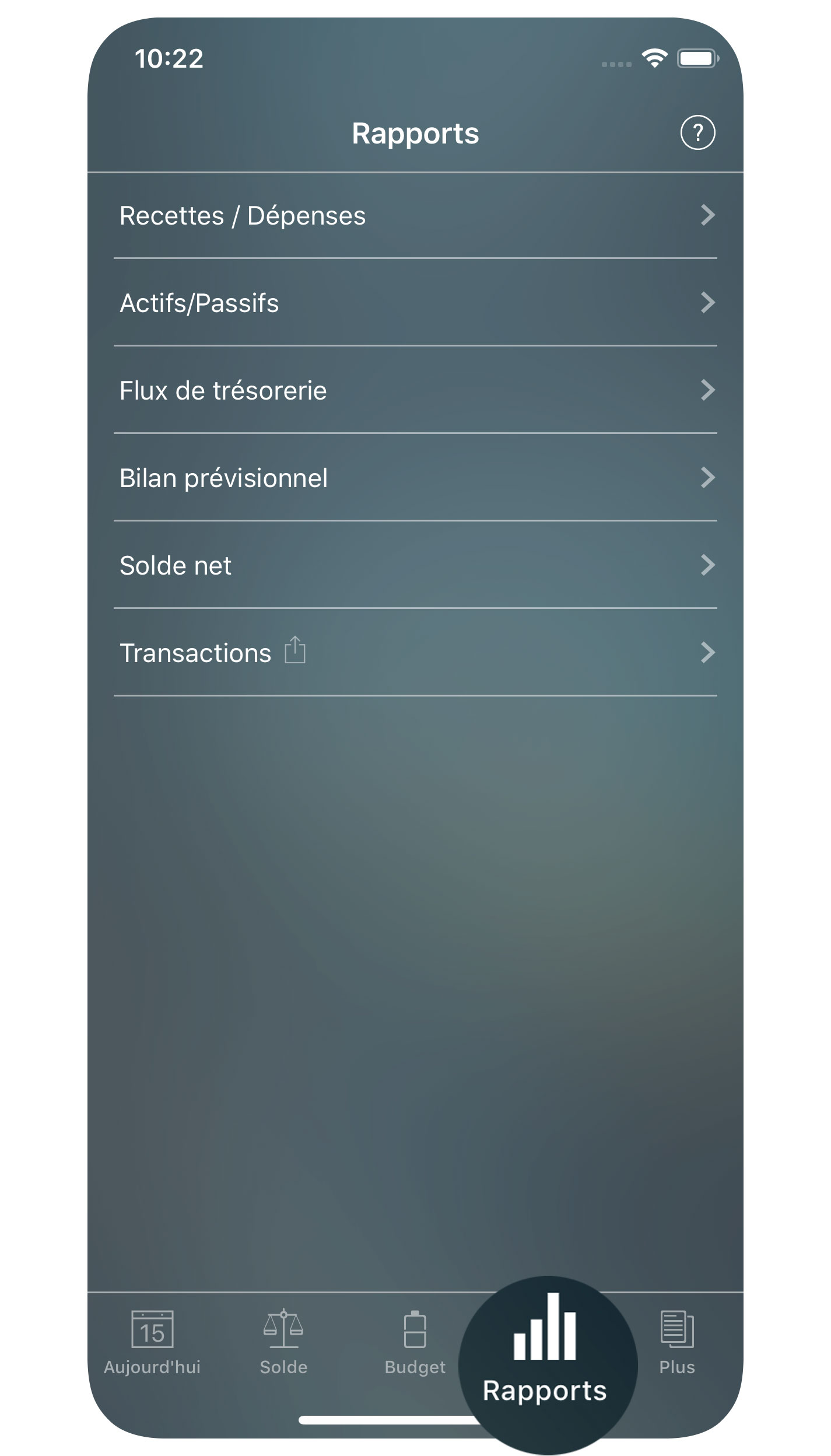 Money Tracker - Rapports - iPhone