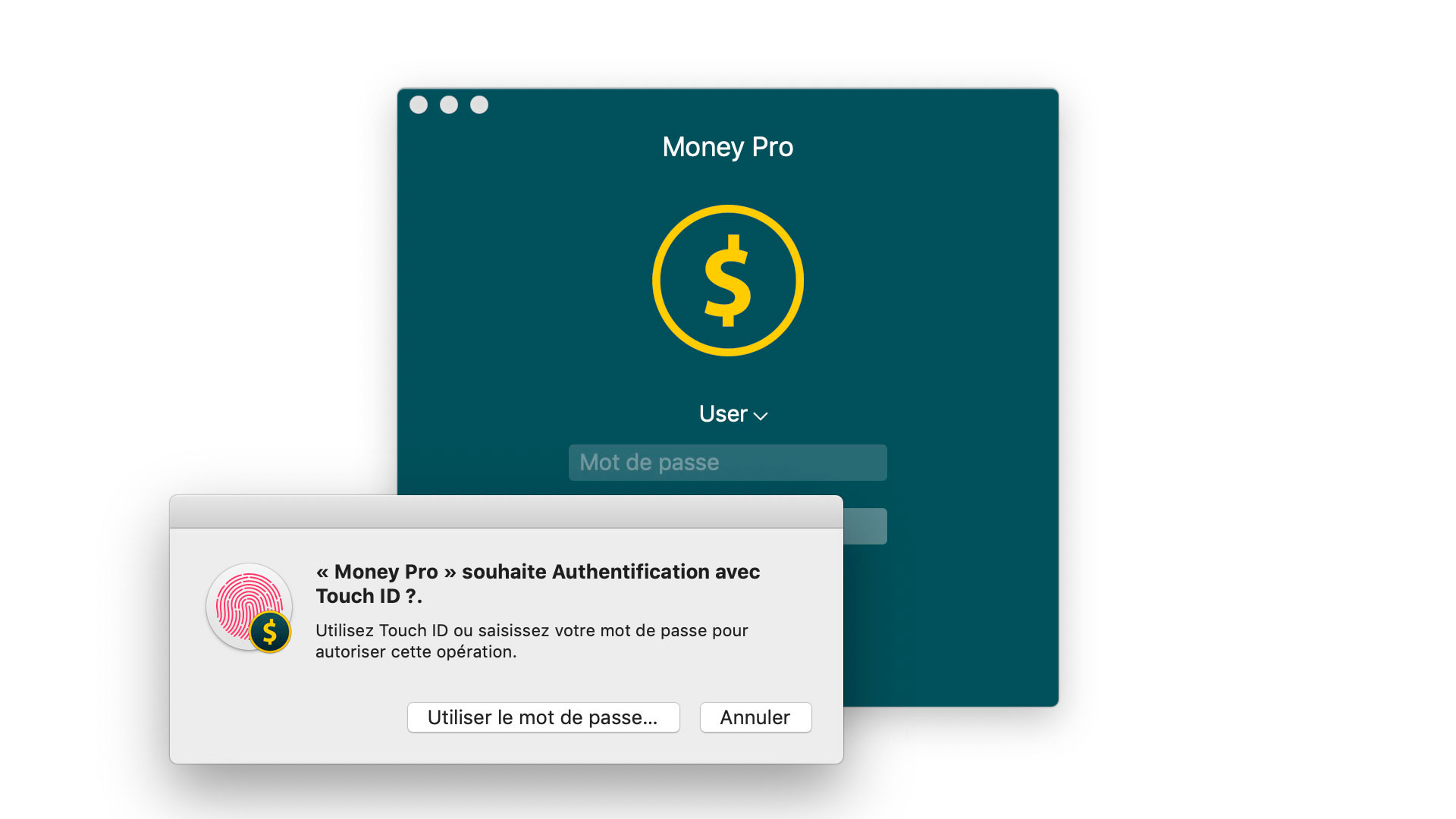 Money Tracker - Touch ID (Face ID) - Mac